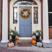 WreathDream Artificial Fall Wreath, 20 Inch Diameter, Rusty Red Magnolia Leaves