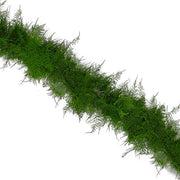 Farm Fresh Natural Plumosus Garland - 25 feet