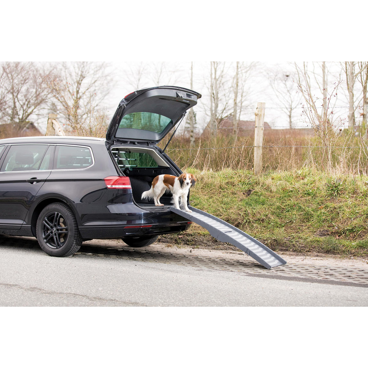 TRIXIE Gray / 59" Long / Ramp Vehicle Ramps
