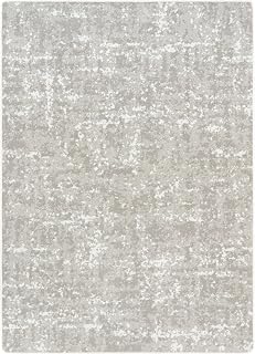 Joy Carpets Stretched Thin 10'9" x 13'2" Area Rug in Color Dove