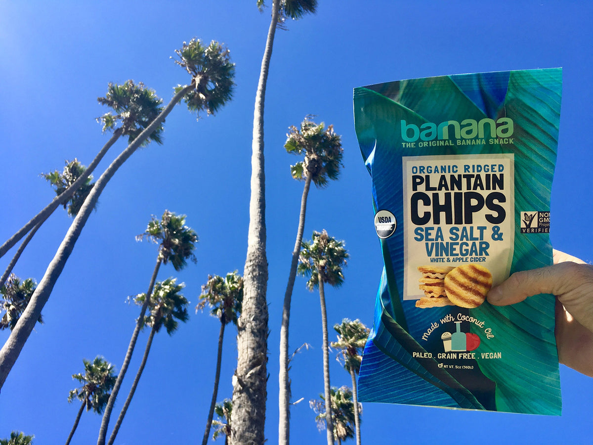 Barnana Sea Salt & Vinegar / 5 Ounce (Pack of 8) / 1 Dried Banana Chips