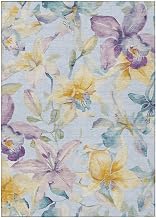 Addison Rugs