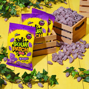 Sour Patch Kids Grape / 8 Ounce (Pack of 1) / 1 Sour Candy