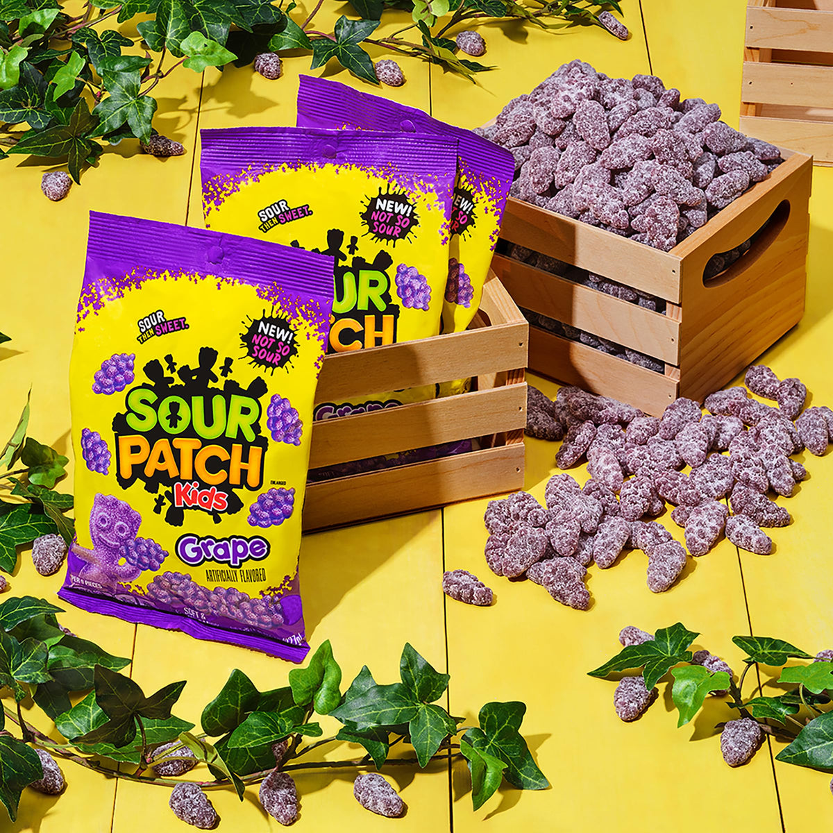 Sour Patch Kids Grape / 8 Ounce (Pack of 1) / 1 Sour Candy