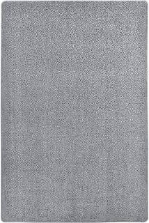 Joy Carpets Endurance Solid Colored Area Rug in Color Silver, 4' x 6'