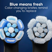 Oral-B Black / 1 Count (Pack of 5) / 5 Toothbrush Replacement Heads