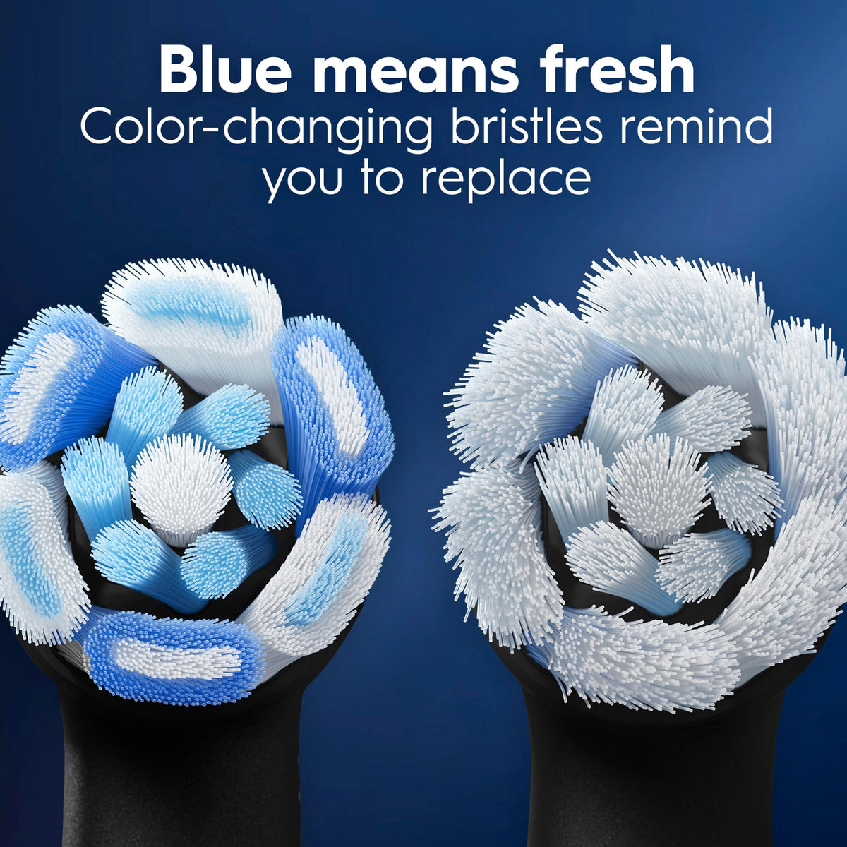 Oral-B Black / 1 Count (Pack of 5) / 5 Toothbrush Replacement Heads