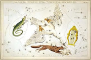 24"x36" Poster, Lacerta Cygnus Lyra Vulpecula Anser constellation star map 1825 - Gallery Print