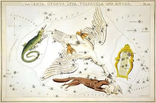 24"x36" Poster, Lacerta Cygnus Lyra Vulpecula Anser constellation star map 1825 - Gallery Print