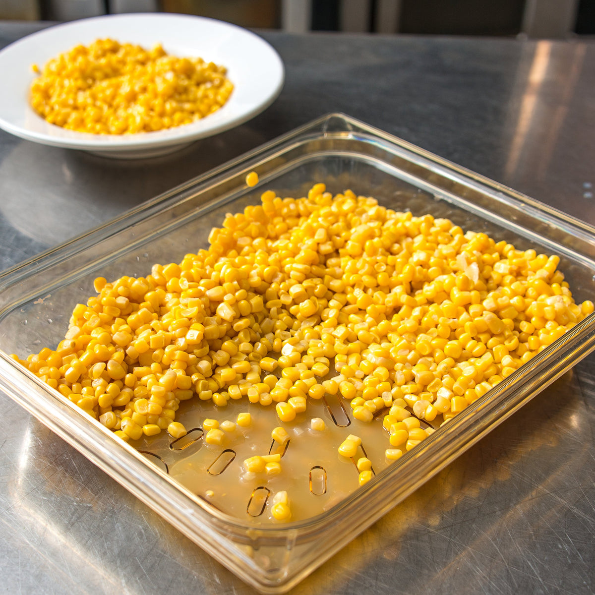Carlisle FoodService Products 1 Count (Pack of 1) / Amber / Drain Grate Storage & Transport