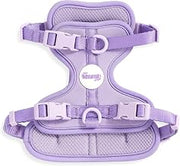 HNS1001H Arlo Small Adjustable Soft Padded No Pull Pet Harness with 3 Buckles and 3 Leash Clips, Bramble