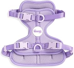 HNS1001H Arlo Small Adjustable Soft Padded No Pull Pet Harness with 3 Buckles and 3 Leash Clips, Bramble