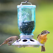 Mason Jar Wild Bird Feeder by Perky-Pet – No Size, 1 pounds, Glass, Blue