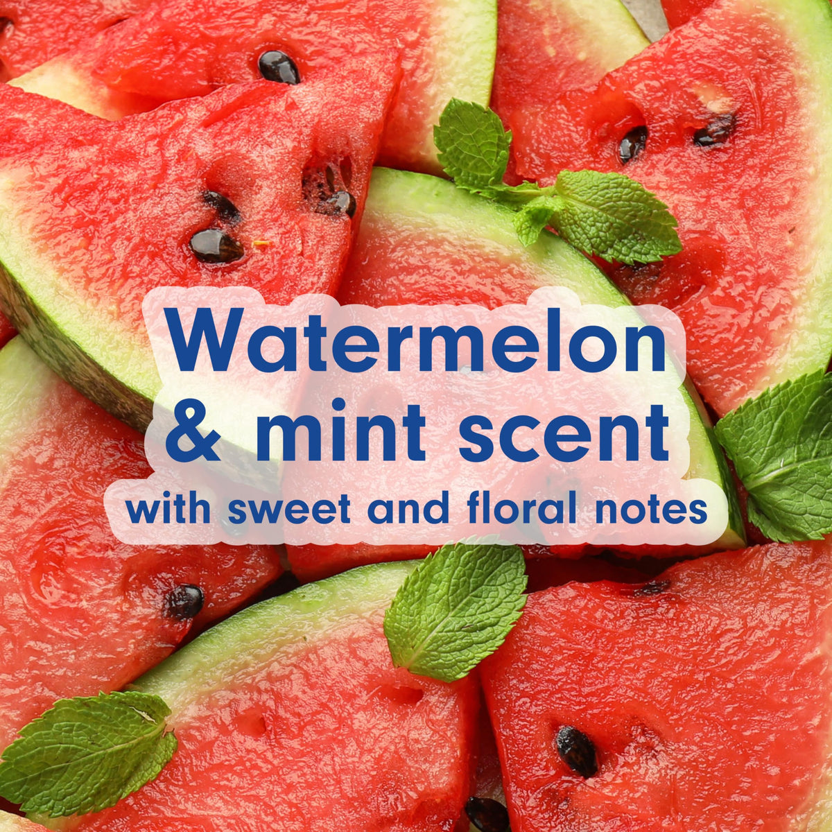 Softsoap Watermelon & Mint / 11.25 Fl Oz (Pack of 6) / Pink Hand Wash