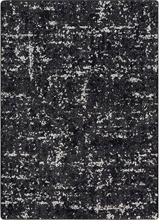 Joy Carpets Stretched Thin 10'9" x 13'2" Area Rug in Color Onyx