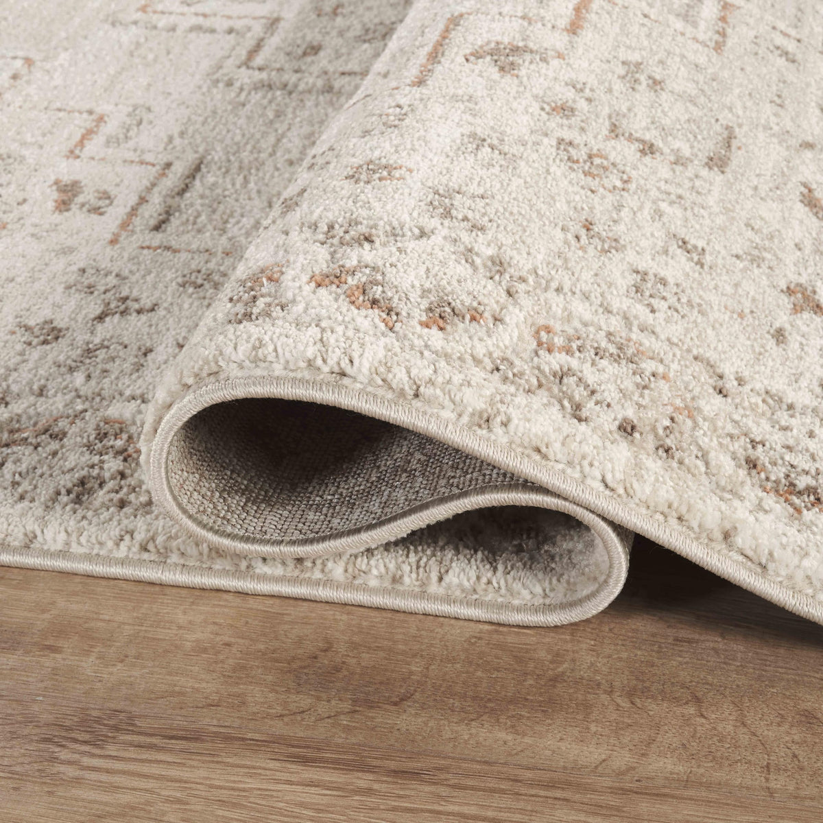Abani Beige / 8' x 10' (Rectangular) / Oriental & Vintage Area Rugs