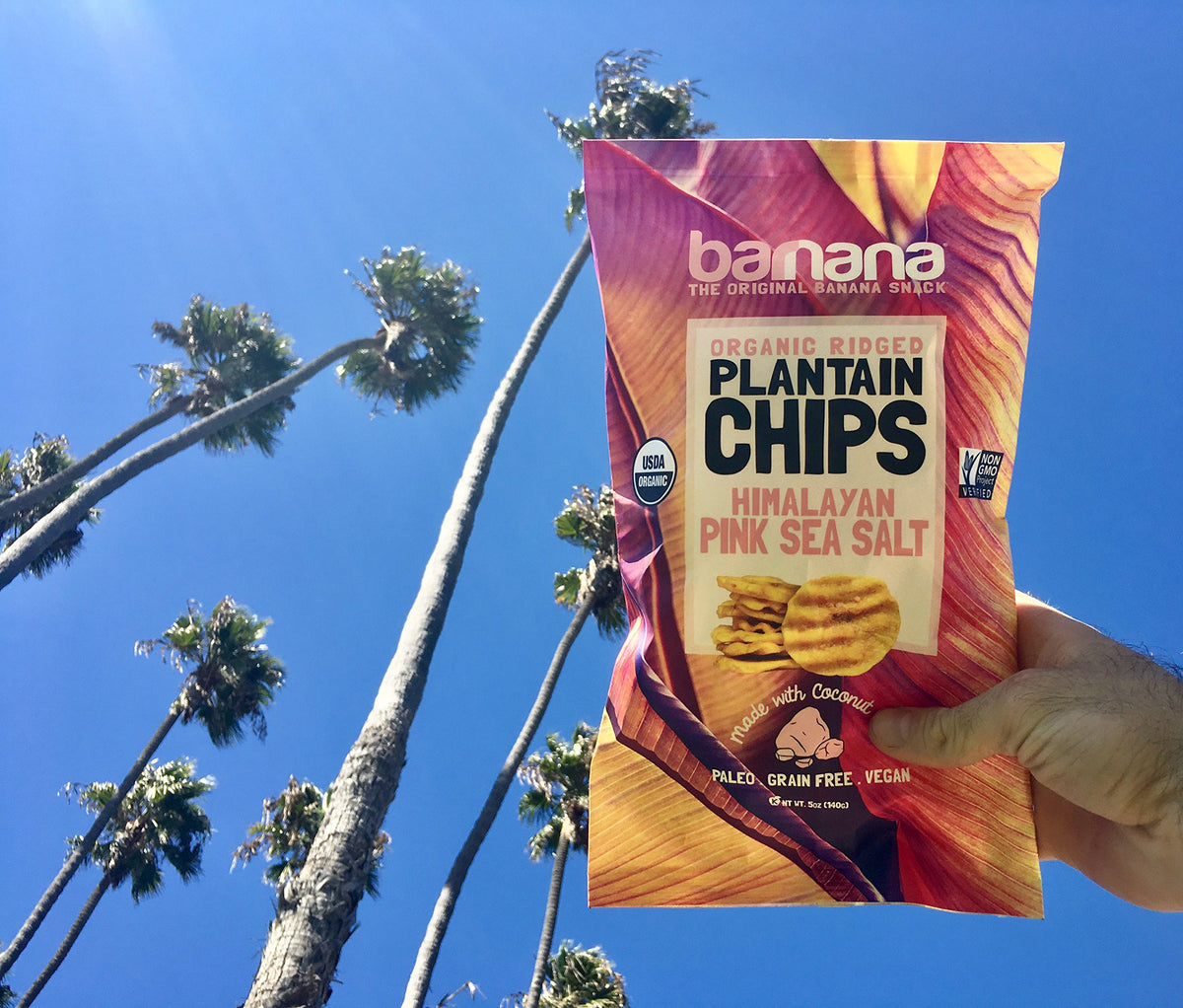 Barnana Himalayan Pink Sea Salt / 5 Ounce (Pack of 3) / Chips Dried Banana Chips
