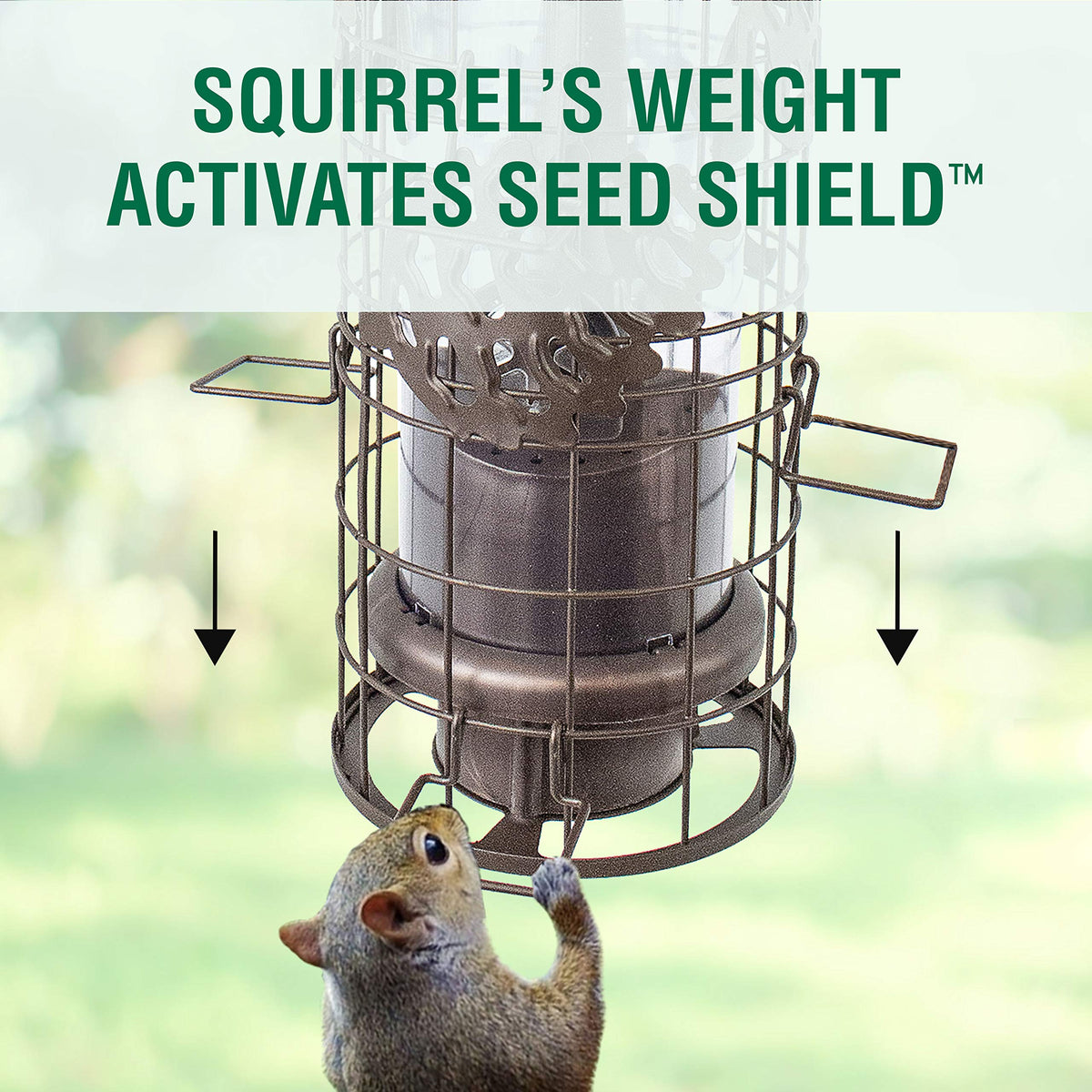 SBG101 Squirrel Off Max Pinecone Bird Feeder with Flexports by Perky-Pet – 1.75 pounds, Metal, Bronze, Model SBG101-1SR