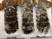 Today Gourmet Foods of NC- Maine Lobster Tails 8/10oz (4 Tails)