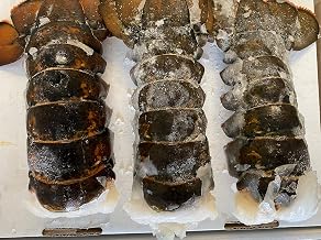 Today Gourmet Foods of NC- Maine Lobster Tails 8/10oz (4 Tails)