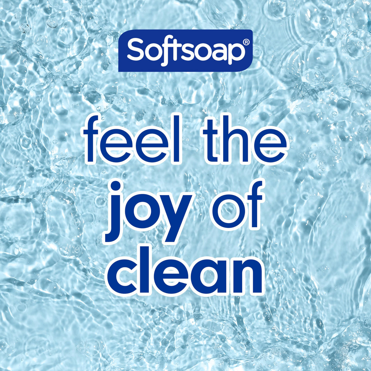 Softsoap Rosewater & Aloe / 11.25 Fl Oz (Pack of 12) / Transparente Hand Wash