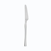 Reserve by Libbey 814 Euro Sleek Stainless Steel Serving Spoon, Silver - 9 3/4"