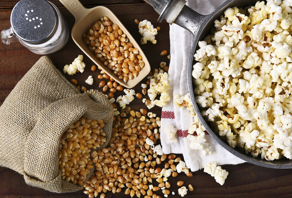 Kernel Variety Bundle by Amish Country Popcorn – 14 Ounce (Pack of 12), Pack of 12, Model 12/14oz Assorted popcorn(A)