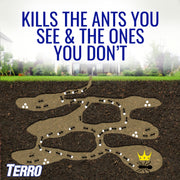 Outdoor Liquid Ant Bait Stakes-2 Pack by Terro – 16 Bait Stations, Clear, Model T1812SR