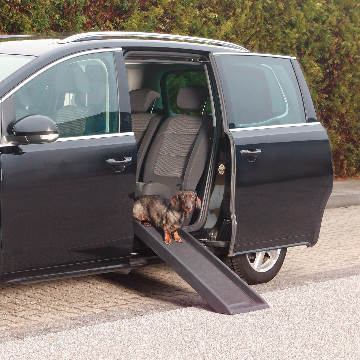TRIXIE Small Ramp / 39 inches / Ramp Vehicle Ramps