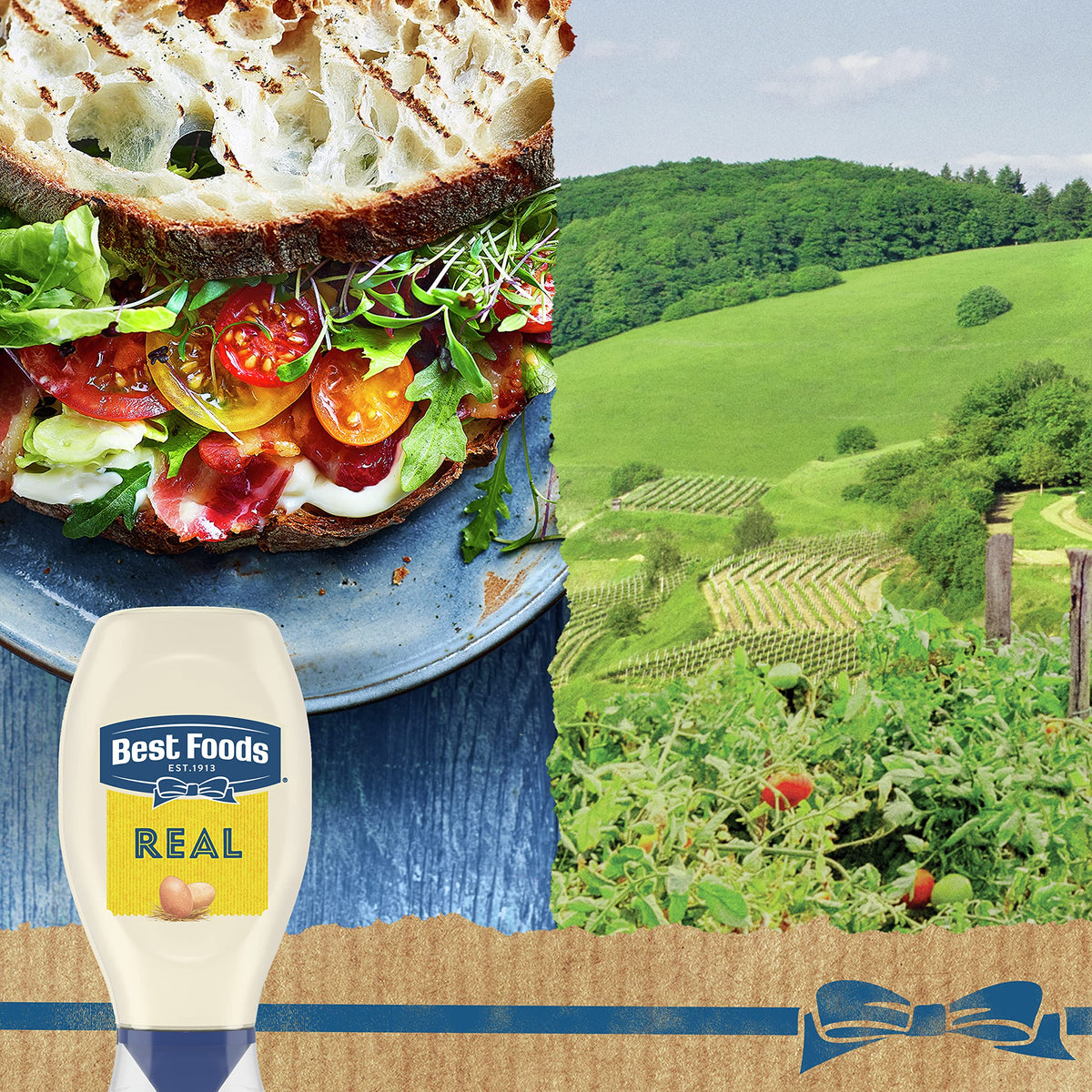 Best Foods 11.5 Fl Oz (Pack of 1) / Original / 1 Mayonnaise