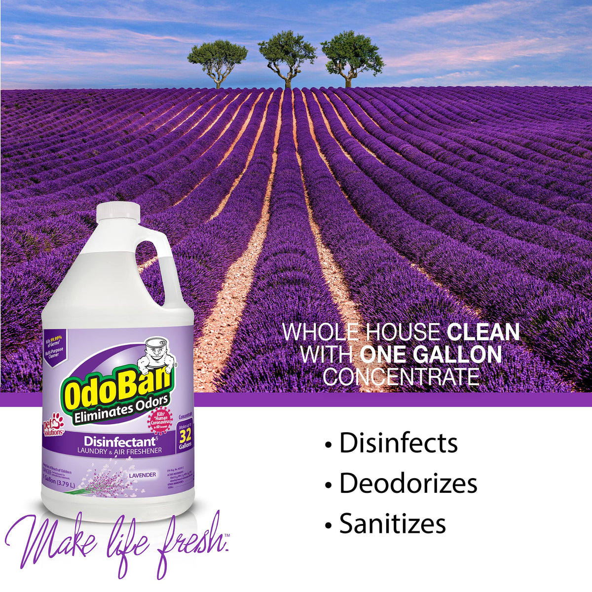 Disinfectant Concentrate and Odor Eliminator by OdoBan – 1 Count (Pack of 2), Clear, Pack of 2, Model BND01066