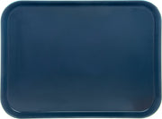 Fiberglass Hospital Fast Food Tray by DINEX – 20" x 15" x 0.5", Blue, Model DX1089M50