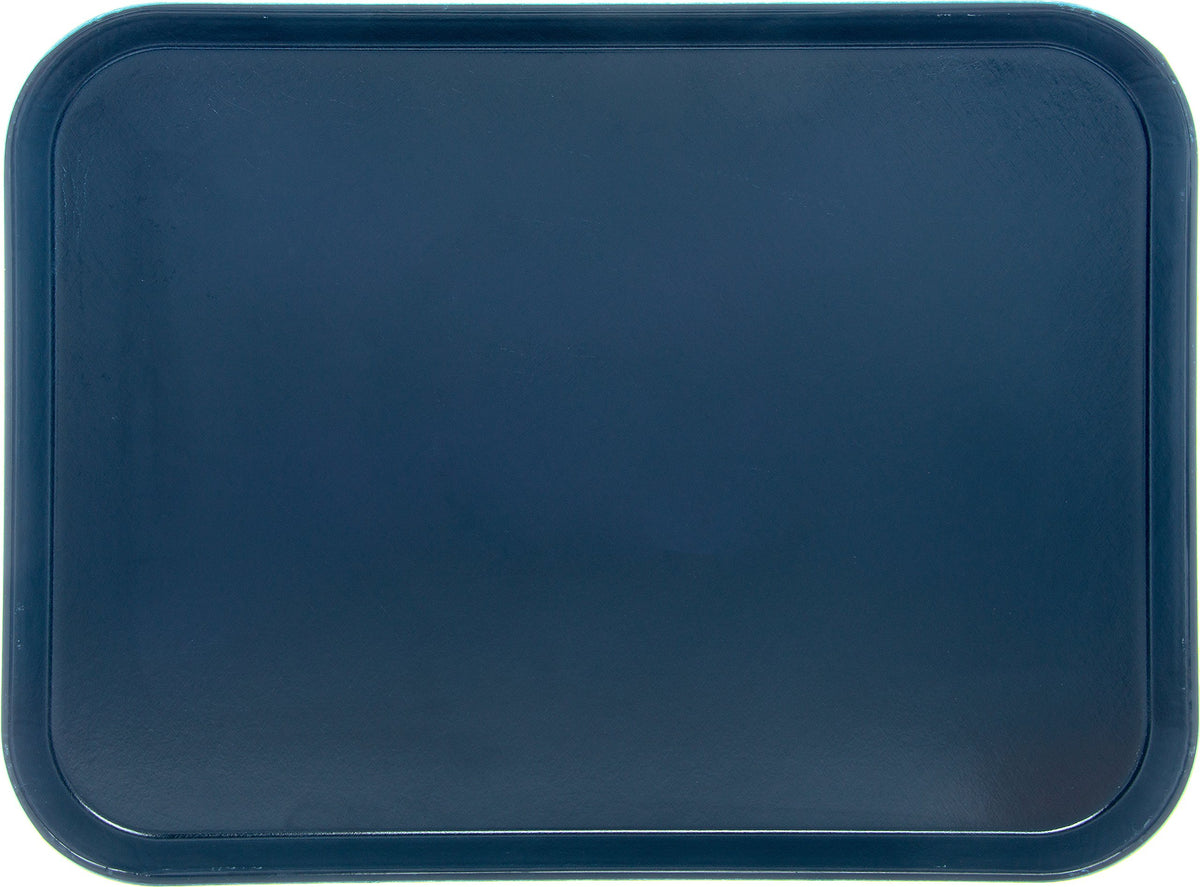 Fiberglass Hospital Fast Food Tray by DINEX – 20" x 15" x 0.5", Blue, Model DX1089M50