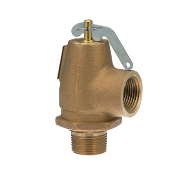 AllPoints 561010 Steam Safety Relief Valve - Default Title