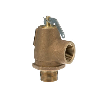 AllPoints 561012 Steam Safety Relief Valve - Default Title