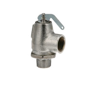 AllPoints 561014 Steam Safety Relief Valve - Default Title