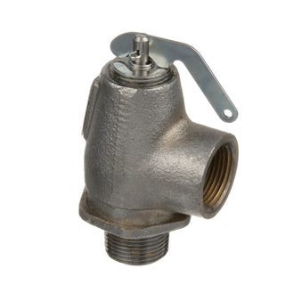 AllPoints 561017 Steam Safety Relief Valve - Default Title