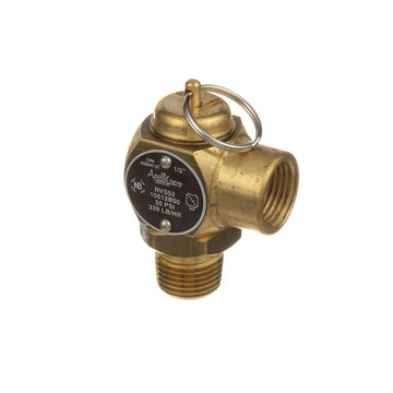 AllPoints 561160 Steam Safety Relief Valve - Default Title