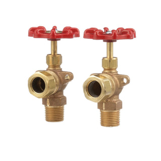 AllPoints 561167 Valve Set - Default Title