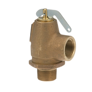 AllPoints 561349 Steam Safety Relief Valve - Default Title