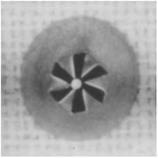 Ateco Stainless Steel Flower Icing Tip