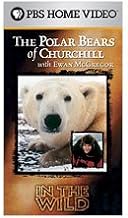 The Polar Bears of Churchill with Ewan McGregor