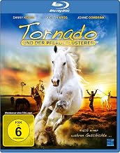 Tornado und der Pferdeflüsterer