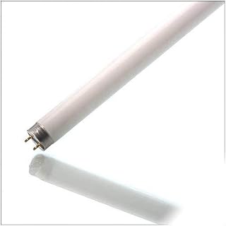 22135 - FO17/830/ECO - OCTRON Ecologic Fluorescent Lamp