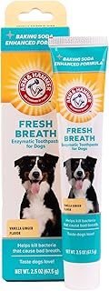 Arm & Hammer Fresh Breath Enzymatic Dog Toothpaste, Vanilla Ginger, 2.5 Oz
