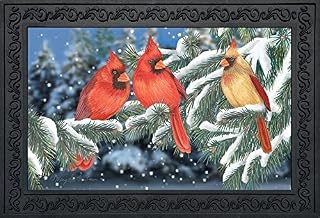Briarwood Lane Winter Doormat 30x18 Indoor Outdoor Winter Cardinal Trio for Winter Doormat