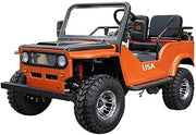 VITACCI GR2-125 Gokart 125cc Go Kart RPS TK125JP with 3-Speed Semi Automatic Transmission with Reverse, Big 18 inch Aluminium Rim Wheels (Orange) - Large