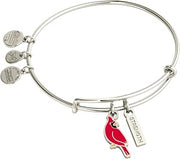 Alex and Ani Strength' Cardinal Duo Charm Bangle Bracelet