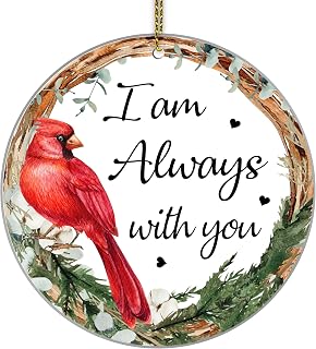HYTURTLE Memorial Cardinal Christmas Ornament Tree Decoration Sympathy Gift