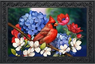 Briarwood Lane Spring Doormat 30x18 Indoor Outdoor American Cardinal for Spring Doormat